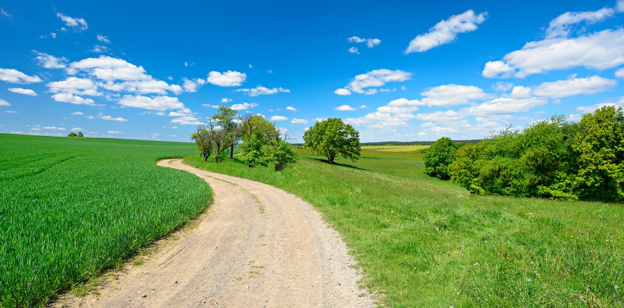 Полезные ссылки, адреса и телефоны в Панаме