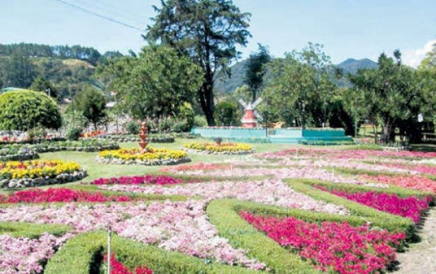 Flowers and Coffee Fair in Boquete, Chiriqui