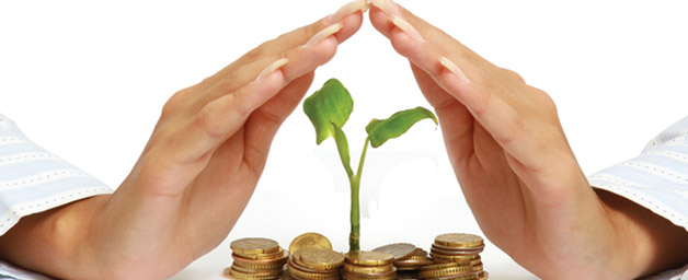 Panama insurance sales booming