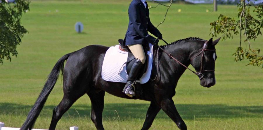 Элегантность шаг за шагом…