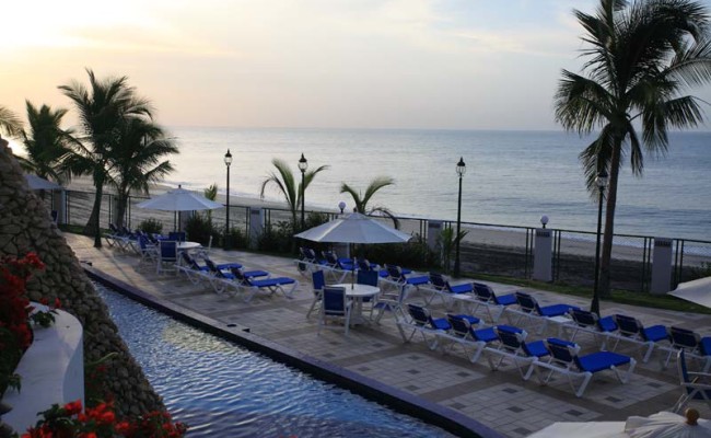 Pool and Palms