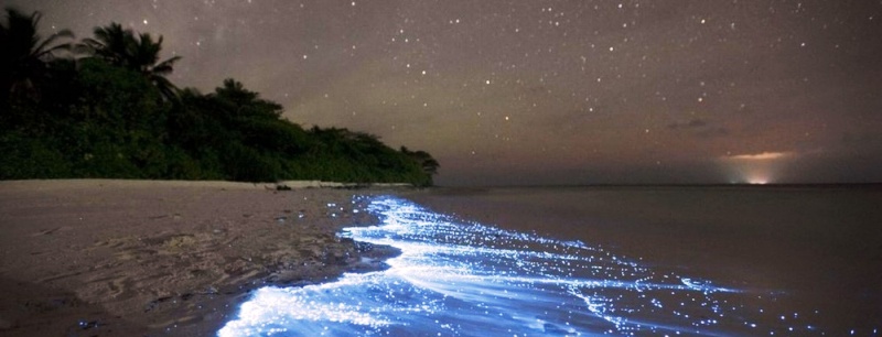 Серфинг и светящиеся волны в Панаме
